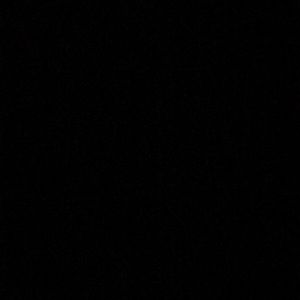 Meet your Posher, Peyton